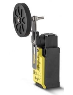 End of stroke adjustable lever with adjustable roller 50mm FTN Series - Giovenzana