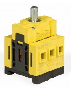 Interruptor seccionador 3 polos 20A - Giovenzana