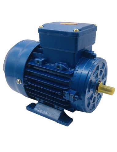 Single-phase motor 0.37Kw 0.5HP 230V 3000 rpm medium starting torque, Flange B3 foot