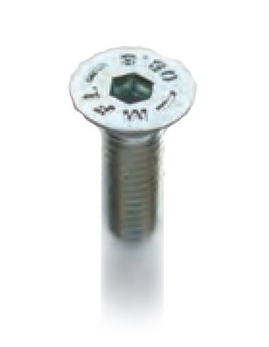Screw allen hazelnut head M6 belted