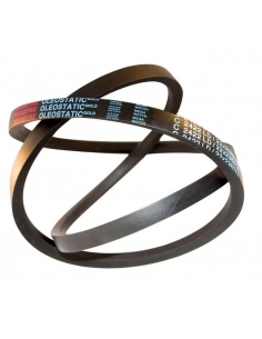 Trapecial strap section SPA Oleostatic Gold SPA4000 10x4000mm MEGADYNE | ADAJUSA