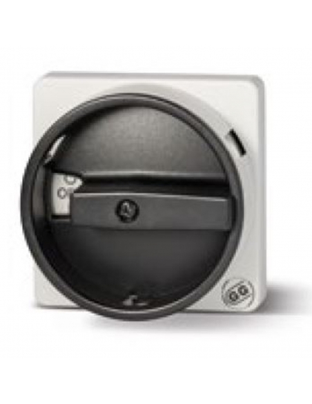 Front control plate 0-1 disconnector 40-63A 67x67mm - Giovenzana