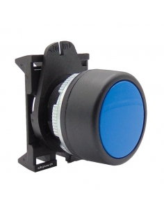 Blue switch push-button head with PPPN4 interlocking - Giovenzana 2