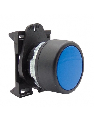 Blue switch push-button head with PPPN4 interlocking - Giovenzana adajusa
