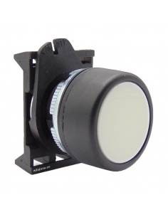 Head white luminous pushbutton PPRL5 - Giovenzana adajusa