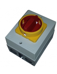 Boîte avec interrupteur triphasé 80A à commande jaune-rouge. 2