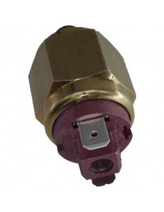 Pressostat pneumatique 1/4 contact ouvert Metal Work Z334111422 NA | ADAJUSA | prix 2
