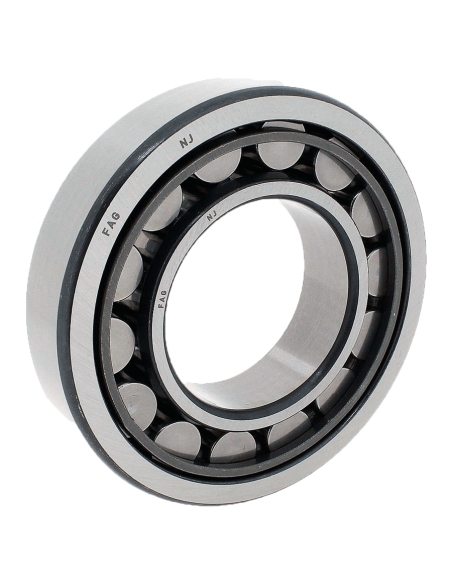 Roulements à rouleaux cylindriques simple rangée avec cageNJ-205-TVP2 25x52x15mm FAG - ADAJUSA