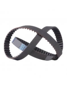 dentée LINEA GOLD BX 57 - DAYCO - ADAJUSA