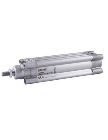 Pneumatic cylinder 50x75 double-acting LH050075 - Aignep