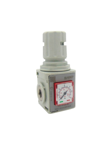 Regulator pressure with pressure gauge and lockable 3/8 0-8 bar size 1 FRL EVO series - Aignep