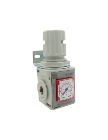 Regulator pressure with pressure gauge and lockable 3/8 0-8 bar complete size 1 FRL EVO - series Aignep