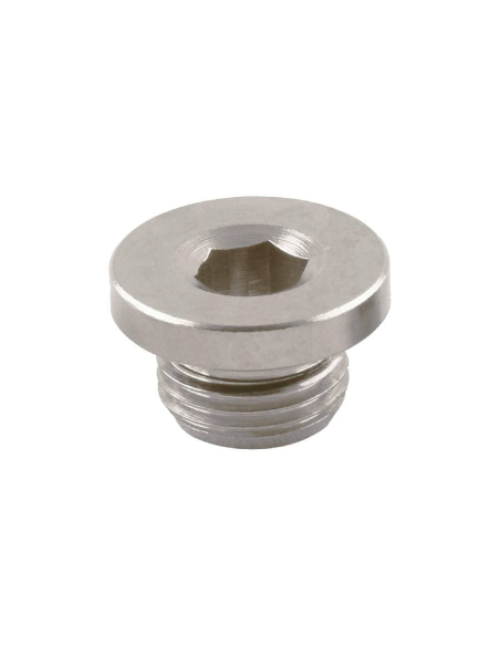 Pneumatic Plug 1 NBR gasket - Aignep