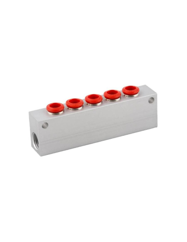 Distributeur simple 2 entrées 1/8 - 5 sorties 4mm en aluminium Série 50000 - Aignep
