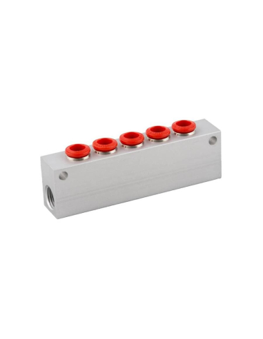 simple distributor 2 inputs 1/4 - 5 outputs 6mm in aluminum Series 50000 - Aignep