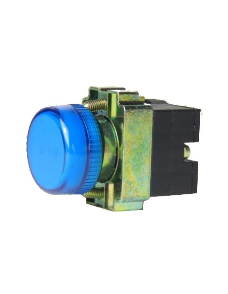22mm blue metallic luminous pilot