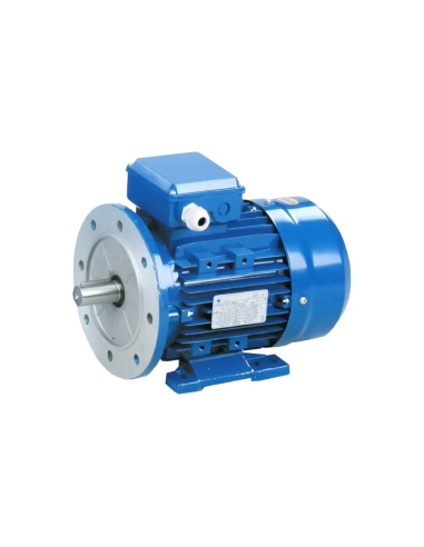 Three-phase motor 1.5kW/2HP 230/400V 3000 rpm Flange B35