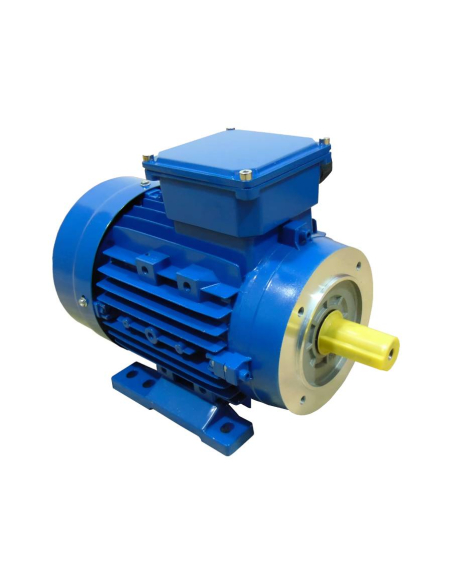 Moteur électrique triphasé 0,37kW 0,5CV B34 pattes 2 pôles 3000 carcasse réduit | ADAJUSA | prix