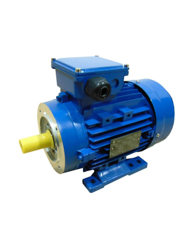 Moteur électrique triphasé 7,5kW 10CV B34 pattes 2 pôles 3000 | ADAJUSA | prix