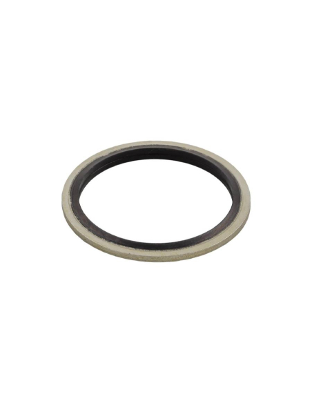 3/4 Gasket in Steel and NBR - Aignep | ADAJUSA