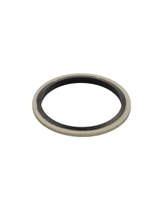 Gasket 1 in Steel and NBR - Aignep | ADAJUSA