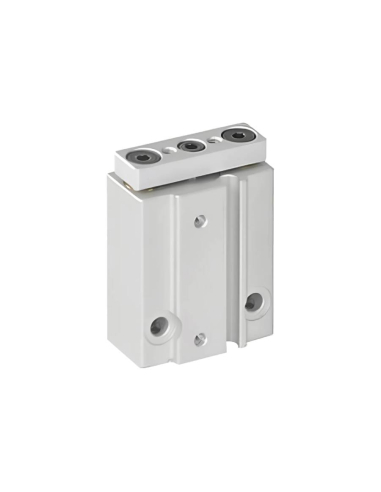 Double guide pneumatic cylinder 6x10mm double acting compatible SMC - Mindman | ADAJUSA | price