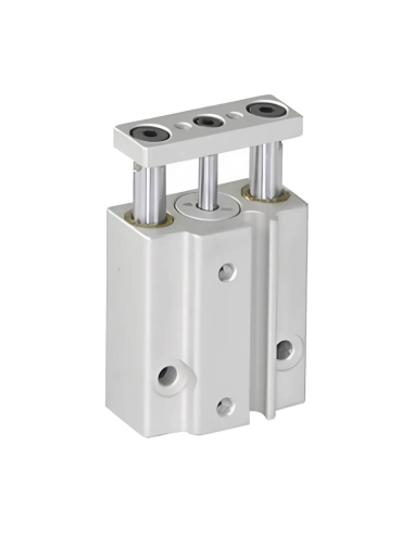 Vérin pneumatique compact double guidage 6x10mm double effet - Mindman