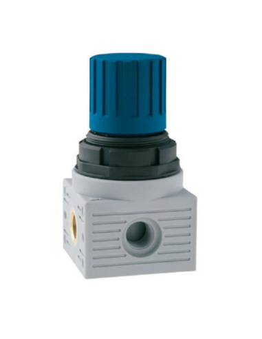 Régulateur  pour eau 1/4 0-8 bar série FRL MINI - Aignep