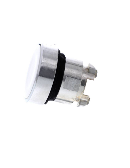 SCHNEIDER XB4 flush pushbutton head white | ADAJUSA | price