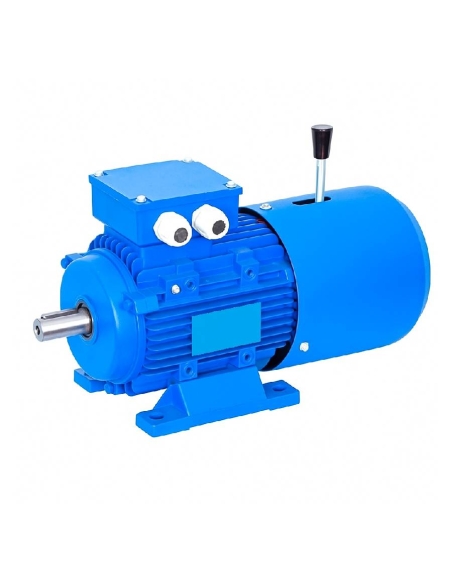 Moteur frein triphasé 0,25Kw 0,33CV Bride B35 pattes 4 pôles 1500 tr/min: ADAJUSA : prix