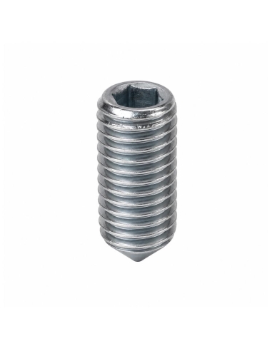 Screw prisoner allen M8 galvanized | adajusa