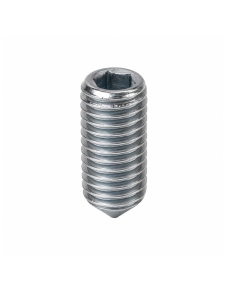 Screw prisoner allen M8 galvanized | adajusa