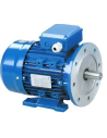 Single-phase motors 3000 rpm flange B35 (Legs) Medium Torque