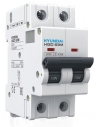 Disjoncteurs magnéto-thermiques 2 pôles 1A à 63A - Hyundai Electric