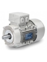 Moteurs électriques triphasés 750 tr/min Bride B14 - INNOMOTICS
